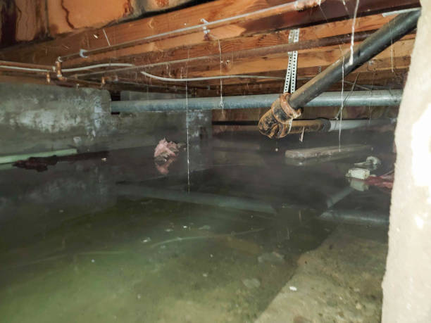 Water damage restoration experts in Orangevale, CA