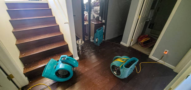 Best Mold removal after water damage  in Orangevale, CA