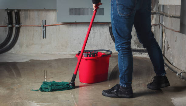 Best Water damage mitigation services  in Orangevale, CA