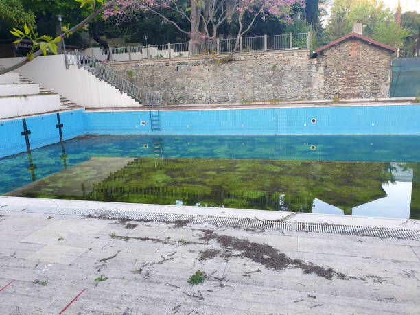 Best Flood restoration services  in Orangevale, CA