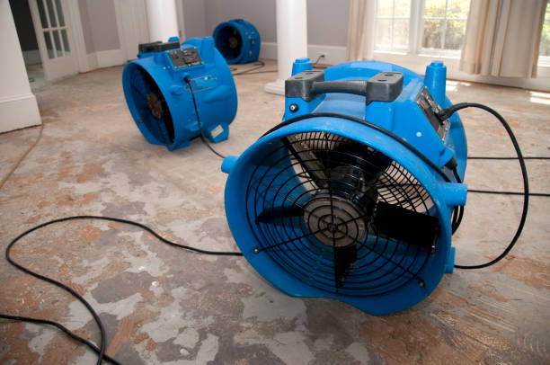 Best Ceiling water damage repair  in Orangevale, CA