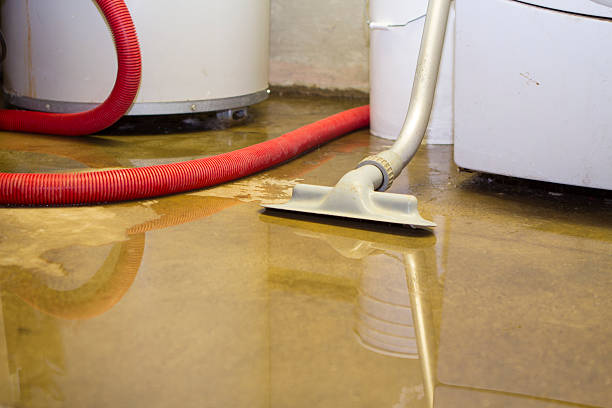 Best Commercial water damage restoration  in Orangevale, CA