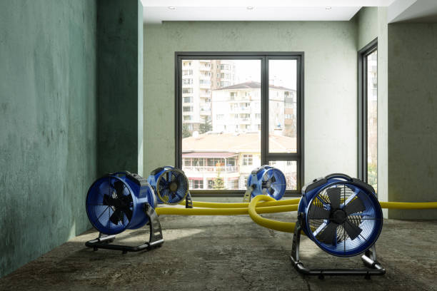 Trusted Orangevale, CA Water damage restoration Experts