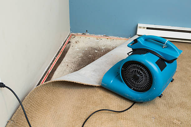 Best Flood restoration services  in Orangevale, CA